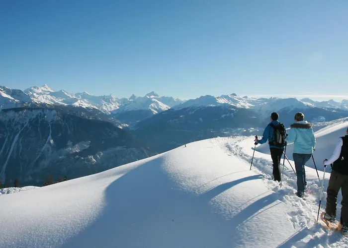 Les Faverges 8 By Interhome 克莱恩 蒙塔纳